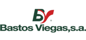 Logo-Bastos-Viegas